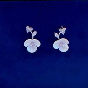 925 Sliver Cubic Zirconia Drop Earrings